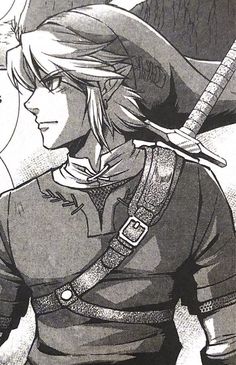 Twilight Princess Manga Link, Loz Manga, Link Pfp, Link Drawing, Twilight Princess Link