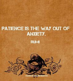 a brown book with an image of a bird on it and the words, patience is the way out of