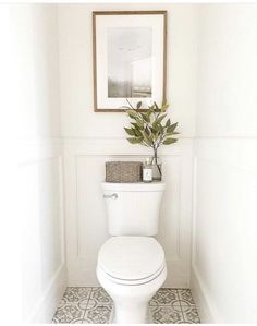 a white toilet sitting in a bathroom next to a framed picture and plant on the wall