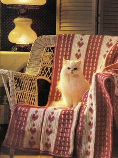 a white cat sitting on top of a chair covered in a blanket next to a lamp