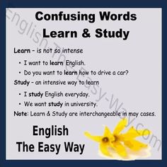 a poster with the words learn and study in english, including an image of a yellow flower