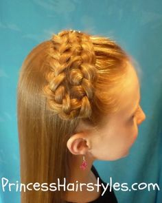 double braids hairstyle Braid Headband Hairstyle, Puppet Makeup, Homecoming Updo, Braid Prom Hairstyles, Braids Fishtail, Braid Prom, How To French Braid, Braided Headband Hairstyle, Braid Headband