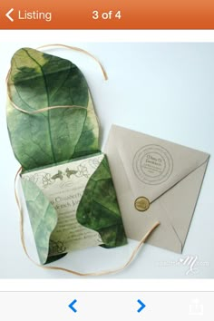 an open envelope with some green leaves on it