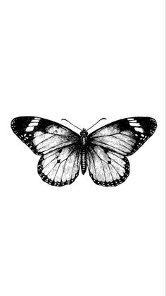 a black and white photo of a butterfly