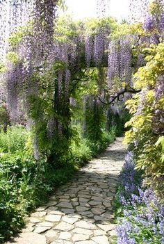 a stone path surrounded by purple flowers and greenery