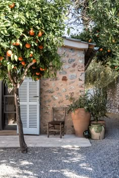 an orange tree in front of a stone building