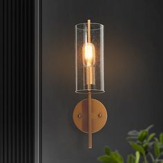 a light that is on the wall next to a potted plant in a room