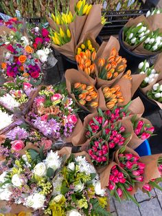 a bunch of flowers that are sitting on the ground