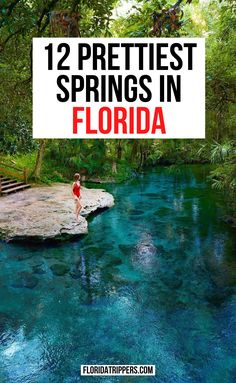 a person standing on a rock in the middle of a river with text overlay reading 12 prettiest springs in florida