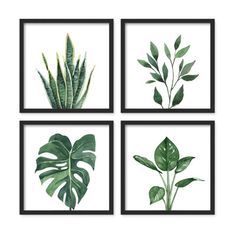 four framed pictures with green leaves on them