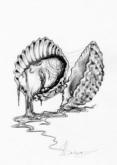 a drawing of a shell with water dripping from it