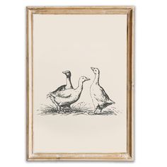 two ducks standing next to each other in front of a white wall with a gold frame