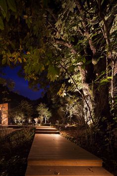 a wooden walkway surrounded by trees at night