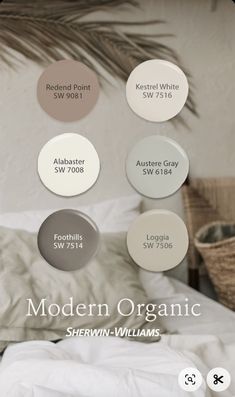 Paint Color Inspiration, Paint Color Schemes, House Color Schemes, Sherwin Williams Paint Colors, Room Paint Colors, Modern Organic, Pallet Painting