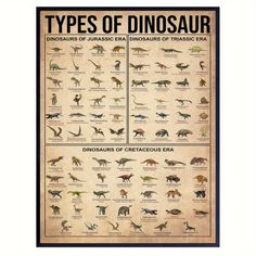 the types of dinosaurs that are on display in a museum poster, with their names and