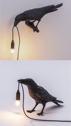 two different angles of a bird lamp