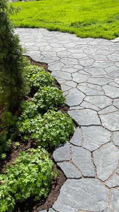 a stone path in the middle of a garden