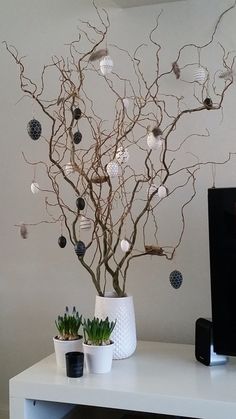 a white table topped with a vase filled with plants and ornaments next to a flat screen tv