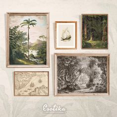 several framed pictures hanging on the wall above them are palm trees and other tropical scenes