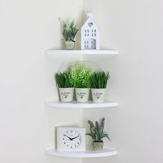 three white shelves with plants and a clock