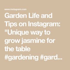 the text garden life and tips on instagram unique way to grow jasmine for the table gardening gard