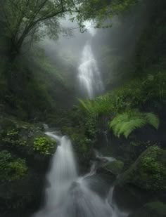 a waterfall in the middle of a lush green forest