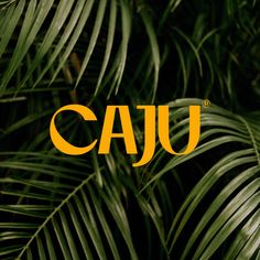 the word caju is surrounded by palm leaves and other tropical plants in front of a black background