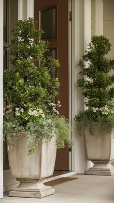 two potted plants sitting on the front porch