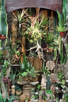 a room filled with lots of different types of succulents and other plants