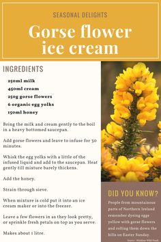 a yellow flower ice cream recipe