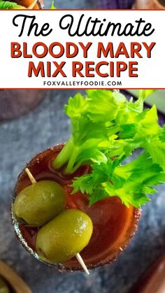 This is the ultimate Bloody Mary mix recipe! Make your brunches special with this homemade Bloody Mary mix, packed with fresh ingredients and bold flavors. This easy recipe combines tomato juice, spices, and a touch of heat for a perfectly balanced cocktail mix that you can customize to your taste. Serve it at your next gathering for delicious, restaurant-quality Bloody Marys that are made right in your own kitchen! Vodka Soda Recipe, Spicy Drinks, Celery Salt, Prepared Horseradish, Soda Recipe, Steak Sauce, Tomato Juice, Alcohol Drink Recipes