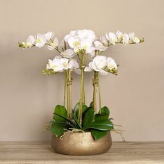 some white flowers are in a gold vase