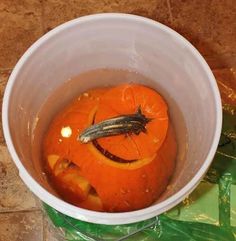 a white bowl filled with oranges on top of a tiled floor next to a green bag