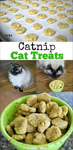 catnip treats in a green bowl and on the table