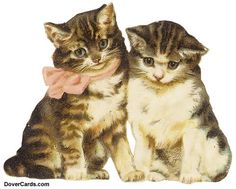 two kittens sitting next to each other with a pink bow tie around their necks