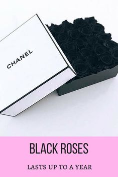 black roses in a box with the words, black roses last up to a year