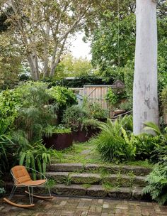 a chair sitting in the middle of a garden with lots of trees and plants around it