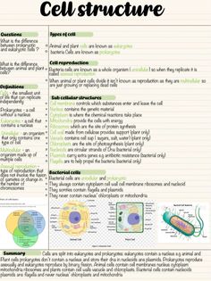 the cell structure poster is shown