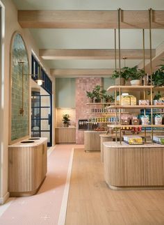 the inside of a store with wooden shelves and plant displays on the wall, along with other items