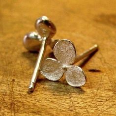 Teeny Hydrangea Flower Stud Earrings, Small Flower Earrings, Sterling Silver, Made to Order. $65.00, via Etsy. Small Flower Earrings, White Hydrangeas, Flower Stud Earrings, White Hydrangea, Flower Stud, Hydrangea Flower, Flower Earrings Studs, Flower Studs, Small Flowers