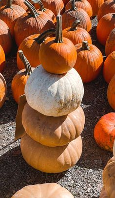 a pile of pumpkins sitting on top of each other