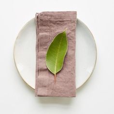 a plate with a napkin and a green leaf on it