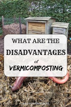 the words what are the disadvantages of vermicomposting