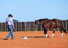 a man leading a brown horse across a dirt field with a white rope attached to it