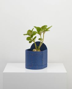 a plant in a blue pot sitting on top of a white block with dirt all over it