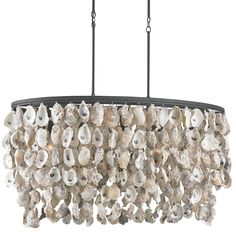 a chandelier made out of seashells hangs from a metal rod with two lights