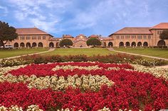 a large building with many flowers in front of it