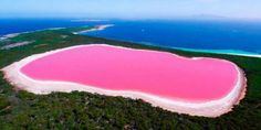 an aerial view of a pink lake surrounded by trees