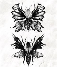 three black and white drawings of moths with wings on each side, one in the shape of a butterfly