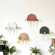 four different colored wall hangings with plants in front of them and on the wall